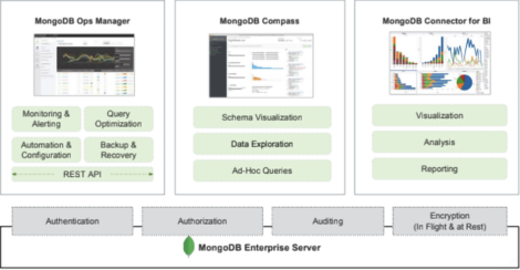 Fig 01 MongoDB editions and additional products available