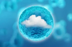 What does “cloud native” really mean?