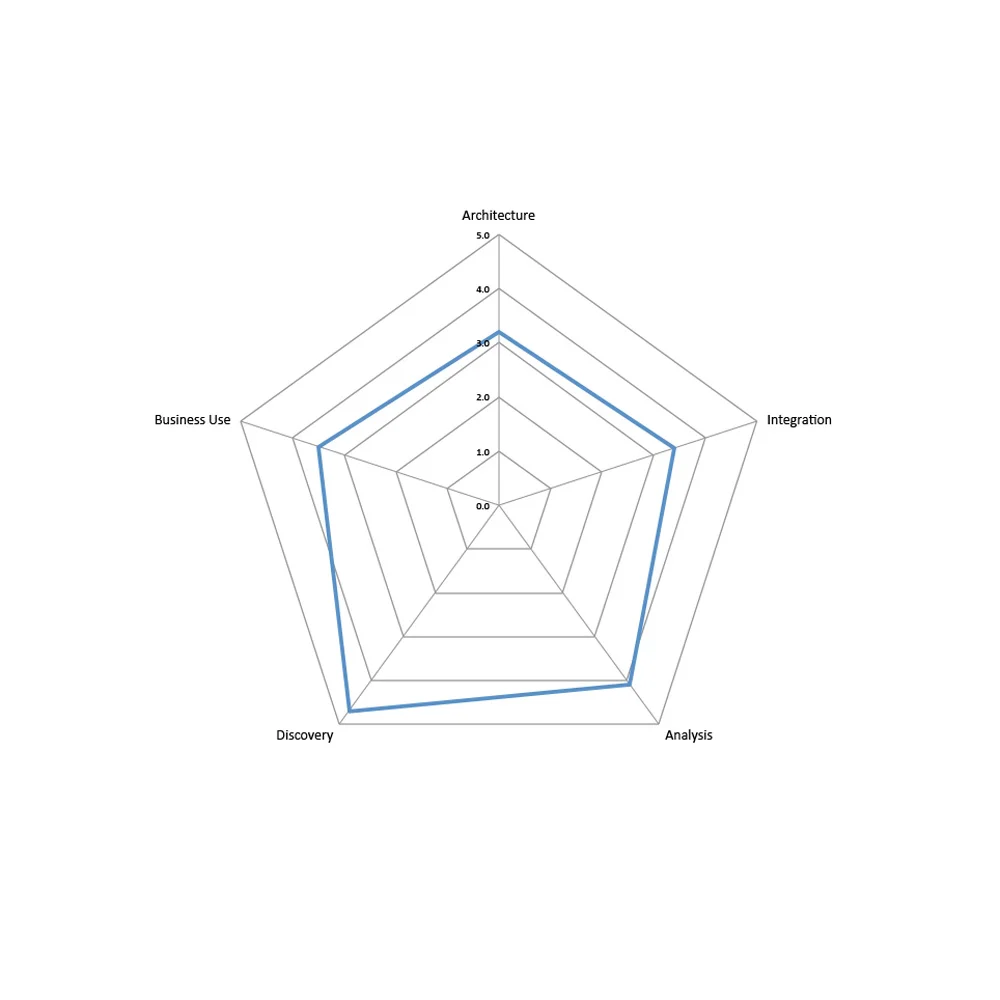 IBM InfoSphere Discovery