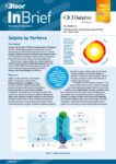 00002883 - DELPHIX by PERFORCE InBrief (cover Nov 2024)