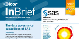 SAS InBrief (July 2024 cover)