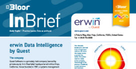 Erwin by Quest InBrief (Sept 2024 cover)