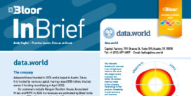 data.world InBrief (Sept 2024 cover thumbnail)