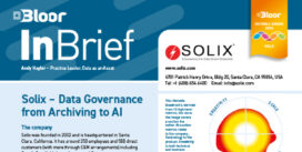 00002875 - SOLIX Data Gov InBrief (cover thumb Oct 2024)