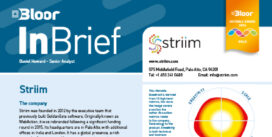 Striim InBrief (Oct 2024 cover thumbnail)