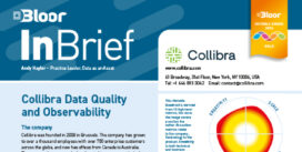 COLLIBRA InBrief (Oct 2024 cover thumb)