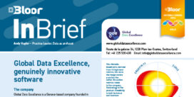 GLOBAL DATA EXCELLENCE InBrief (cover thumb)