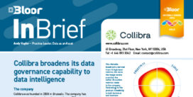 Collibra Data Gov InBrief (Nov 2024 cover)