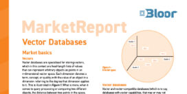 Vector Databases Market Report (Mar 2025 cover)